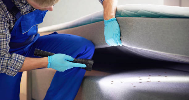 Best Affordable Pest Control Services  in Malvern, OH