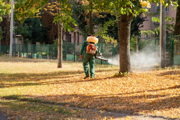 Best Pest Removal Services  in Malvern, OH