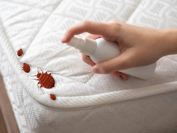 Best Insect Control  in Malvern, OH