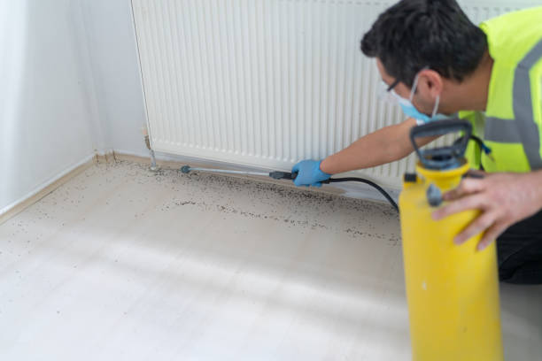 Best Emergency Pest Control  in Malvern, OH
